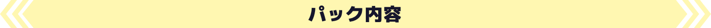 パック内容